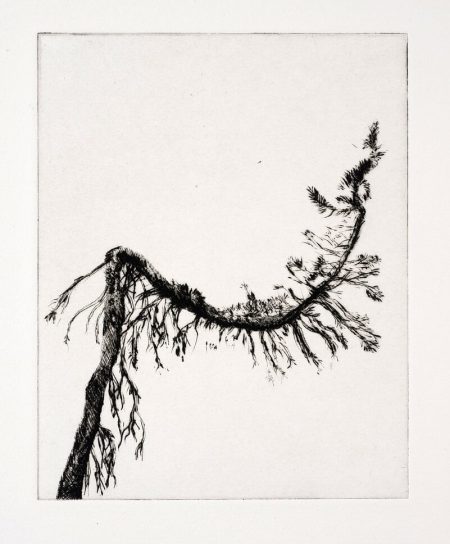 Lucas Reiner
"Station XI (Crucifixion)," 2010Drypoint etching5 5/8 x 4 ½ inches